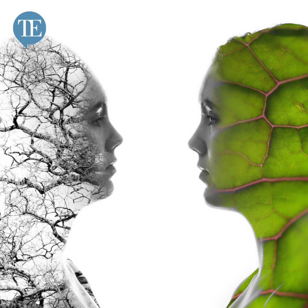 Heathfield School Pupil Editor: 'The Summer Term'